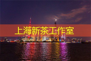 上海舞蹈运动的流行元素